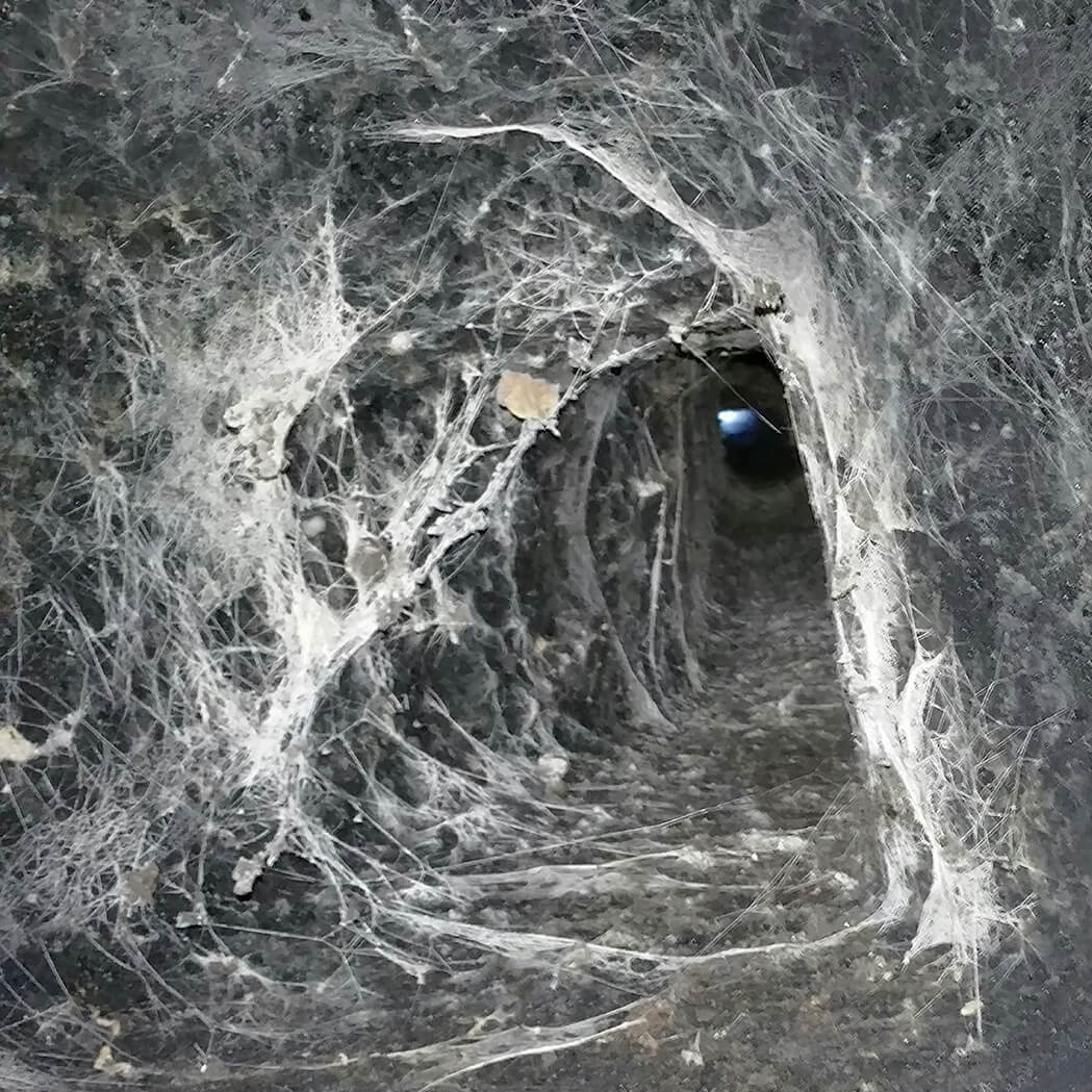 Spider webs inside chimney flue